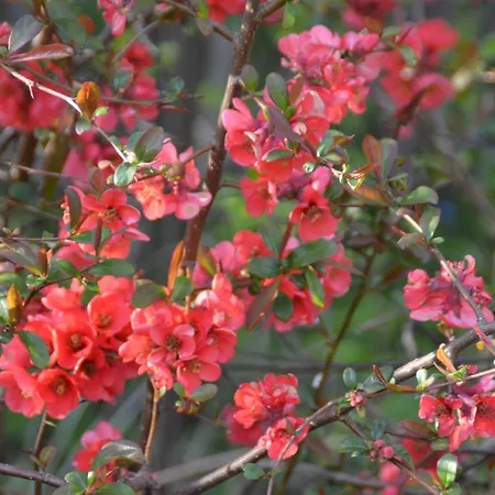 Uckermarkblick アパート Ziethen