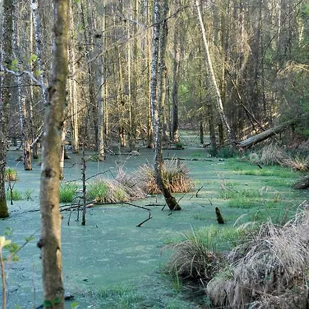 Uckermarkblick アパート