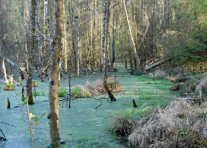 Uckermarkblick شقة
